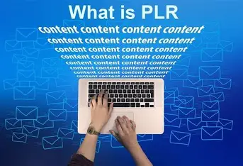 What is PLR